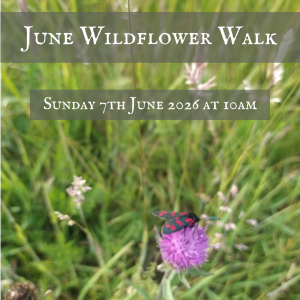 Wildflower Walk - Sunday 8th April 2026