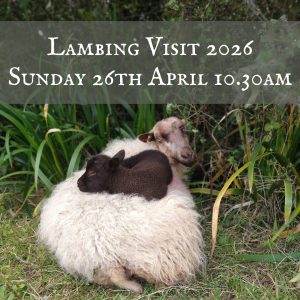 Lambing Visit - Sunday 26th April 2026